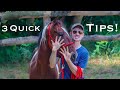 How To Pet A Horse Correctly... DON'T Do It Wrong!