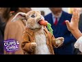 This Rabbit Pretends To Be A Robot | Peter Rabbit | Clips & Chill