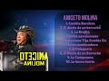 Aniceto Molina-Prime picks for your playlist-Premier Tracks Mix-Alike