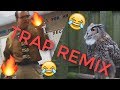 I Don't Give A Hoot [TRAP REMIX] | by Asher Postman