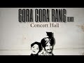 GORA GORA RANG | Amar Singh chamkila ft Amarjot kour remix | concert Hall