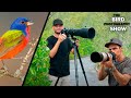 Blown Highlight Rescuing Hacks! | The Only Tripod Head You'll Ever Need? | Spring Madness Is Here!