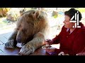 Download Breakfast With Your Pet Bear | Bear About The House: Me & My Supersized Pet mp4 3gp mp3 videos - waplic