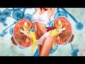 The Body Is Repair After 6 Min.--.Alpha Waves Heal The Whole Internal Organ (Warning:Very Powerful!)