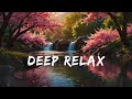 Relaxing Music Sleep | Relaxing Music for Stress Relief | Relaxing for Study | Inner Peace | Focus