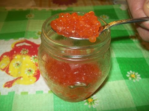 Быстро посолить икру горбуши в домашних условиях