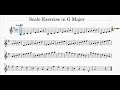 Scale Exercise in G Major-Violin l Metronome 60/80/100/120 BPM #Honeyman Tutor l V4 Violin