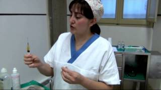 buy generic norvir online pharmacy buy generic norvir online pharmacy