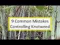 9 Common Mistakes To Avoid in Trying to Control Invasive Knotweed