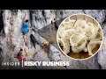 Why People Risk Their Lives To Harvest A $2700 Bird Nest Made Of Saliva | Risky Business