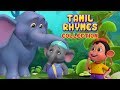 சின்ன யானை and more Animal Rhymes | Tamil Rhymes for Children | Infobells