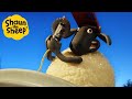 Shaun the Sheep 🐑 DIY Sheep! - Cartoons for Kids 🐑 Full Episodes Compilation [1 hour]
