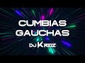 MIX CUMBIAS GAUCHAS ARGENTINAS 😉🍻 | Sonido Master, Amar Azul, Organización X | DJ KREIZ