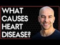 What Causes Heart Disease? | The Peter Attia Drive Podcast (Ep 203, AMA 34)