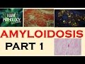 AMYLOIDOSIS: Part 1: Definition, Historical aspects & Properties of Amyloid