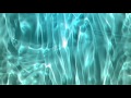 Swimming Pool Water Drift - 4K looping background