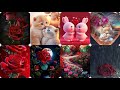 Beautiful flower 🌹🌹 DPz and cat Anime wallpapers 🥰🥰 and Dpz 2023