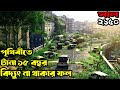 টানা ১৫ বছর বিদ্যুৎ না থাকলে যা ঘটবে পৃথিবীতে || Movie Explained In Bengali