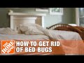 How to Get Rid of Bed Bugs | DIY Pest Control | The Home Depot