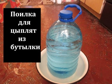 Поилка для цыплят из пластиковой бутылки своими руками Поилка для цыплят из пластиковой бутылки своими руками
