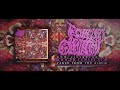 FECULENT ORCHIECTOMY - BOOGER COLLECTOR [SINGLE] (2024) SW EXCLUSIVE