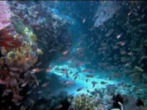 Успокаивающая музыка без слов скачать