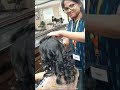 hair curling#hairstyle #haircare  🥰subscribe