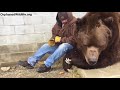 Download When your bear had a hard day and needs some extra love.... mp4 3gp mp3 videos - waplic