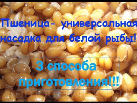 пьяная пшеница для рыбалки пьяная пшеница для рыбалки