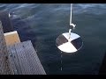 Secchi Disk—Water Quality Test