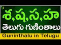 శ ష స హ గుణింతాలు | Sa Sha Sa Ha guninthalu |How to write Telugu varnamala guninthalu