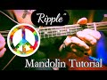 “Ripple” Mandolin Tutorial