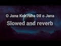 O Jana Keh raha hai Dil o Jana | Slowed and reverb | Lofi Song | Reverb vibes T-series