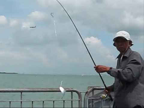 Download Tamban Jigging @ EastCoastPark free