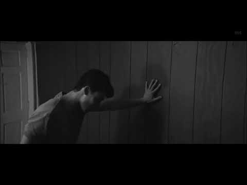 Download In My Blood - Shawn Mendes (FAN VIDEO) free
