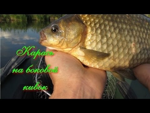 ловля с боковым кивком видео ловля с боковым кивком видео