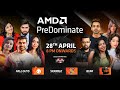 AMD PreDominate | BGMI, Fall Guys & Many More | Ft. Shreeman, Lolzz, Kaashvi etc
