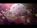 Explaining the Coronavirus Outbreak through 3D Medical Animation