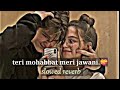 Teri mohabbat meri jawani 💖|| slowed reverb lofi mix| #youtube #song #mp3 #oldisgold