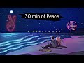 30 minute of peace | Best hindi Lofi songs to Chill/Study/Sleep/Relax