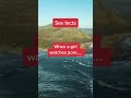 Sex Facts #shorts #facts