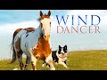 Wind Dancer (1993) | Full Movie | Mel Harris | Matt McCoy | Brian Keith