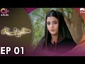 Pakistani Drama | Haseena - Episode 1 | Laiba Khan, Zain Afzal, Fahima Awan | C3B1O