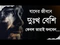 গ্যারান্টি এই ভিডিওটি আপনার জীবন বদলে দেবে - Bangla Best Life Changing Motivational Video