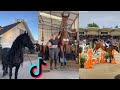 The Best HORSE TikTok Compilation 2023 #4