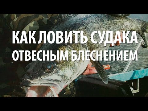 отвесное блеснение с лодки на течении отвесное блеснение с лодки на течении