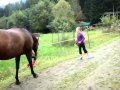 Horse farted and scared itself AND CHILD