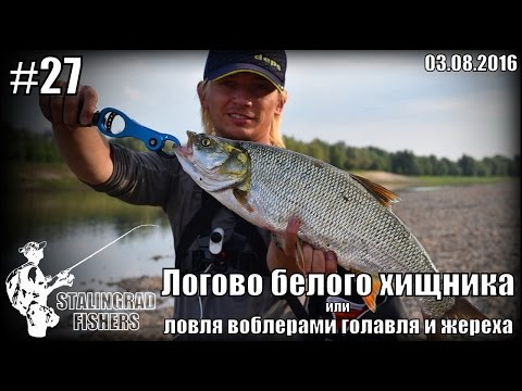 воблер на жереха на оке воблер на жереха на оке