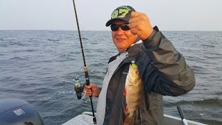 поиск судака на водохранилище с эхолотом поиск судака на водохранилище с эхолотом
