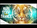 Hyderabadi Marfa Vs Tiger Trance | Dj Nikhil Martyn